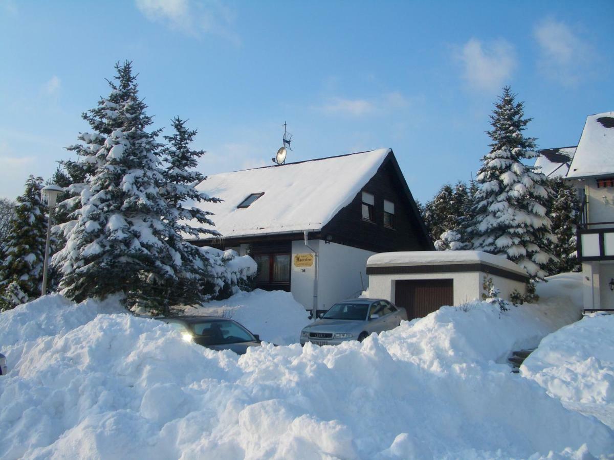 Haus Hannelore Willingen  Zewnętrze zdjęcie